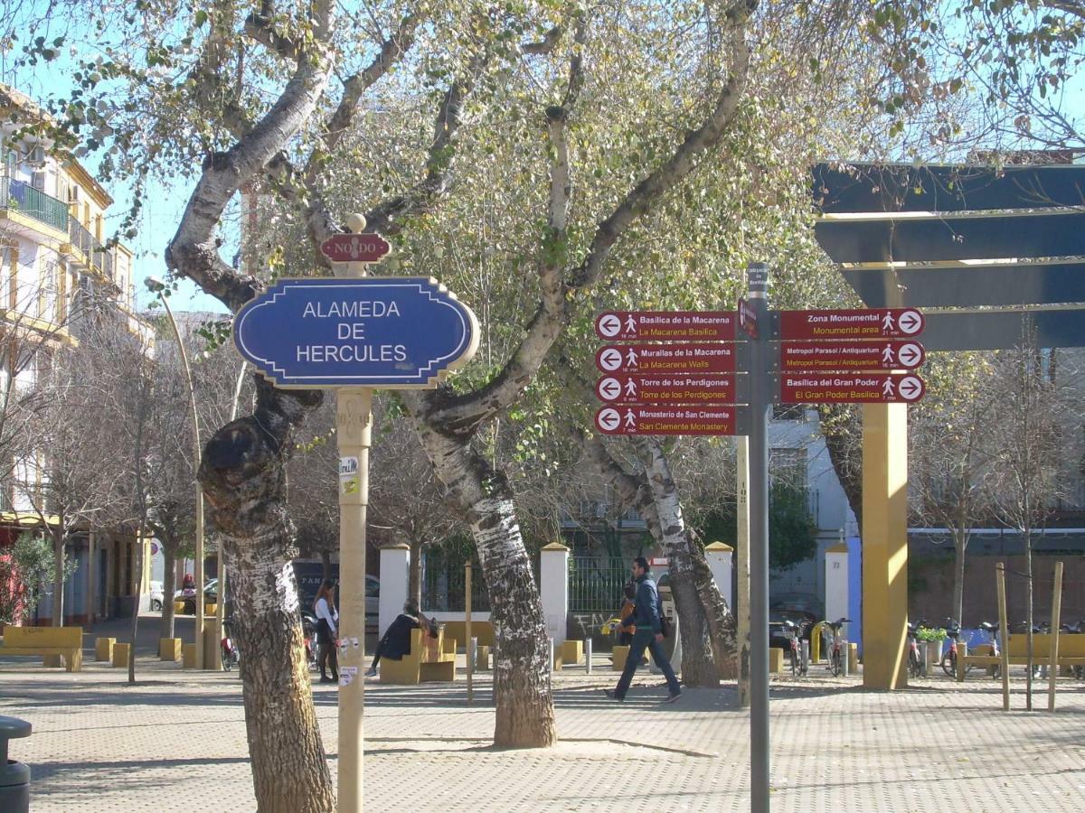 Medina Apartment And Parking Historical Center Sevilla Exteriér fotografie